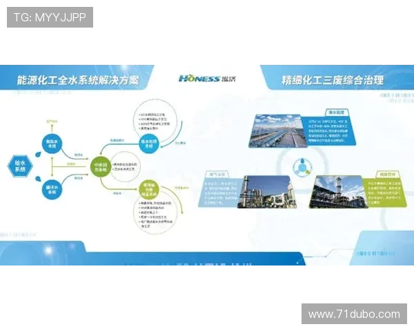 探索澳博官方直营平台的独特魅力与优势